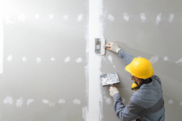 Best Mold Documentation for Insurance Claims  in Clayton, NM