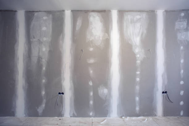 Best Industrial Mold Remediation  in Clayton, NM